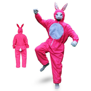 królik na kawalerskie